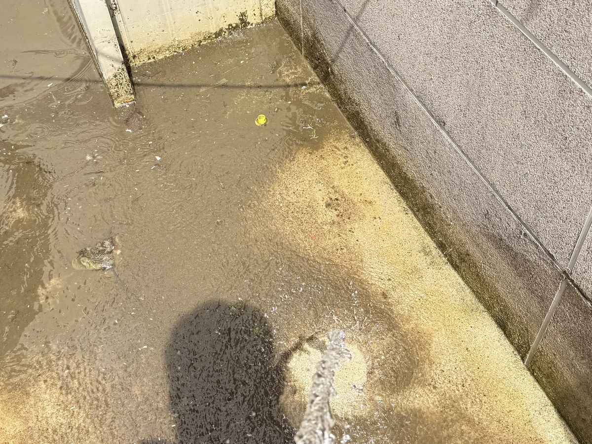 화성시 만세구 남양읍 침수 현장 복도·대기 동선 야간 위생청소 사례 - 행진크린